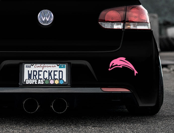 Dolphin Bumper Car Sticker