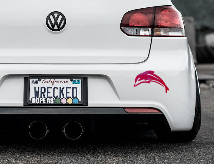 Dolphin Bumper Car Sticker