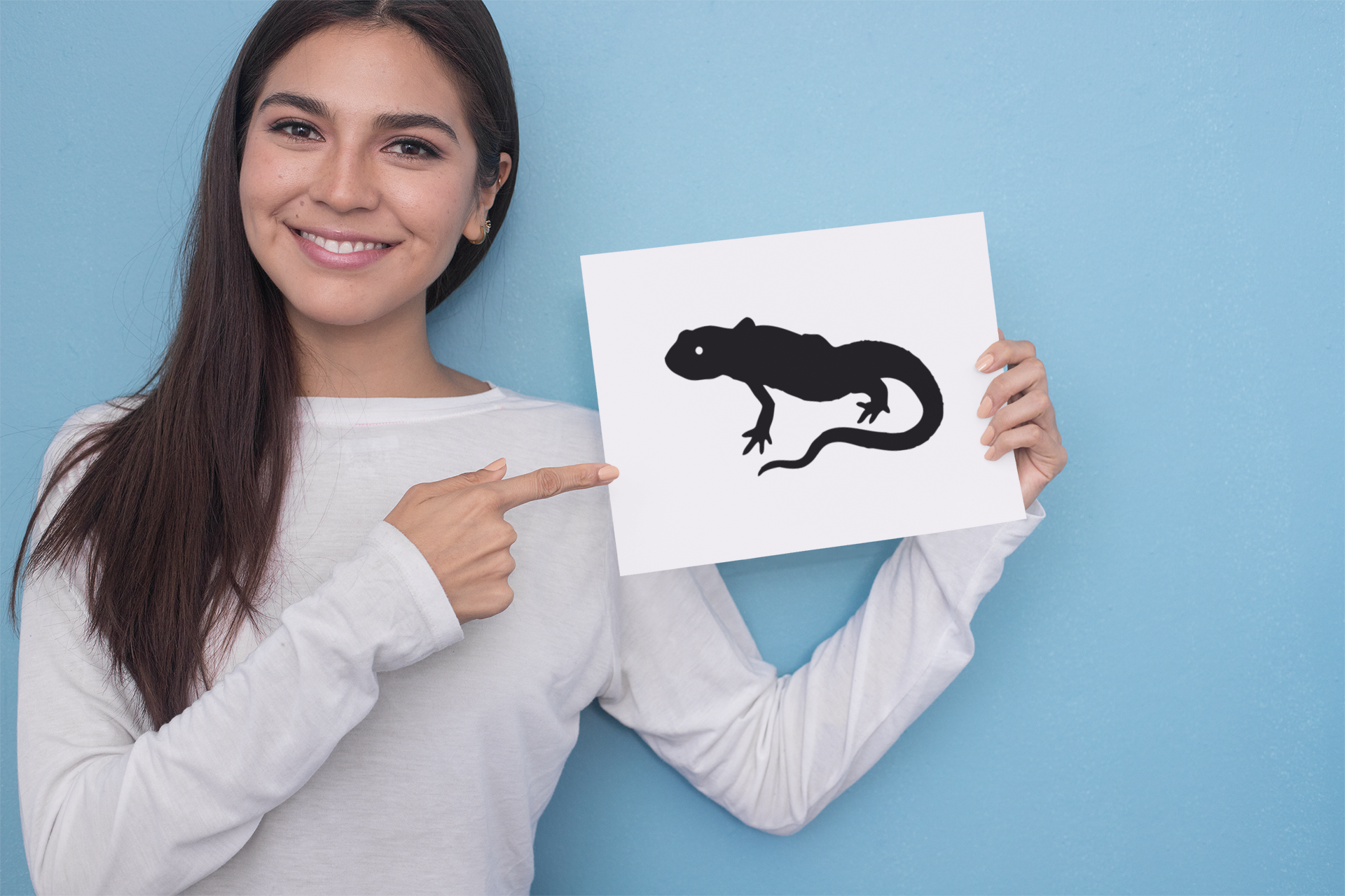 Lizard Sticker