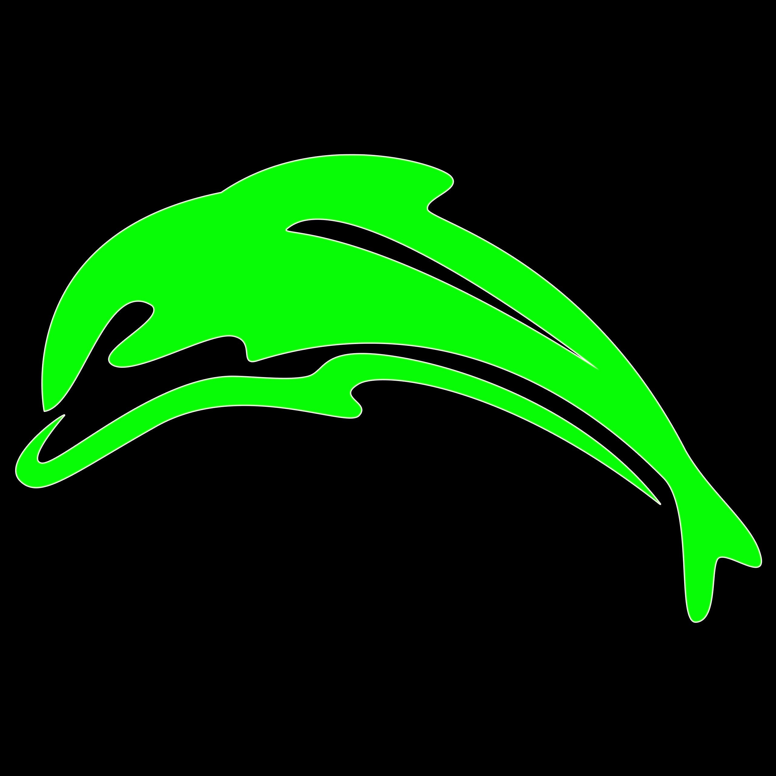 Dolphin Sticker