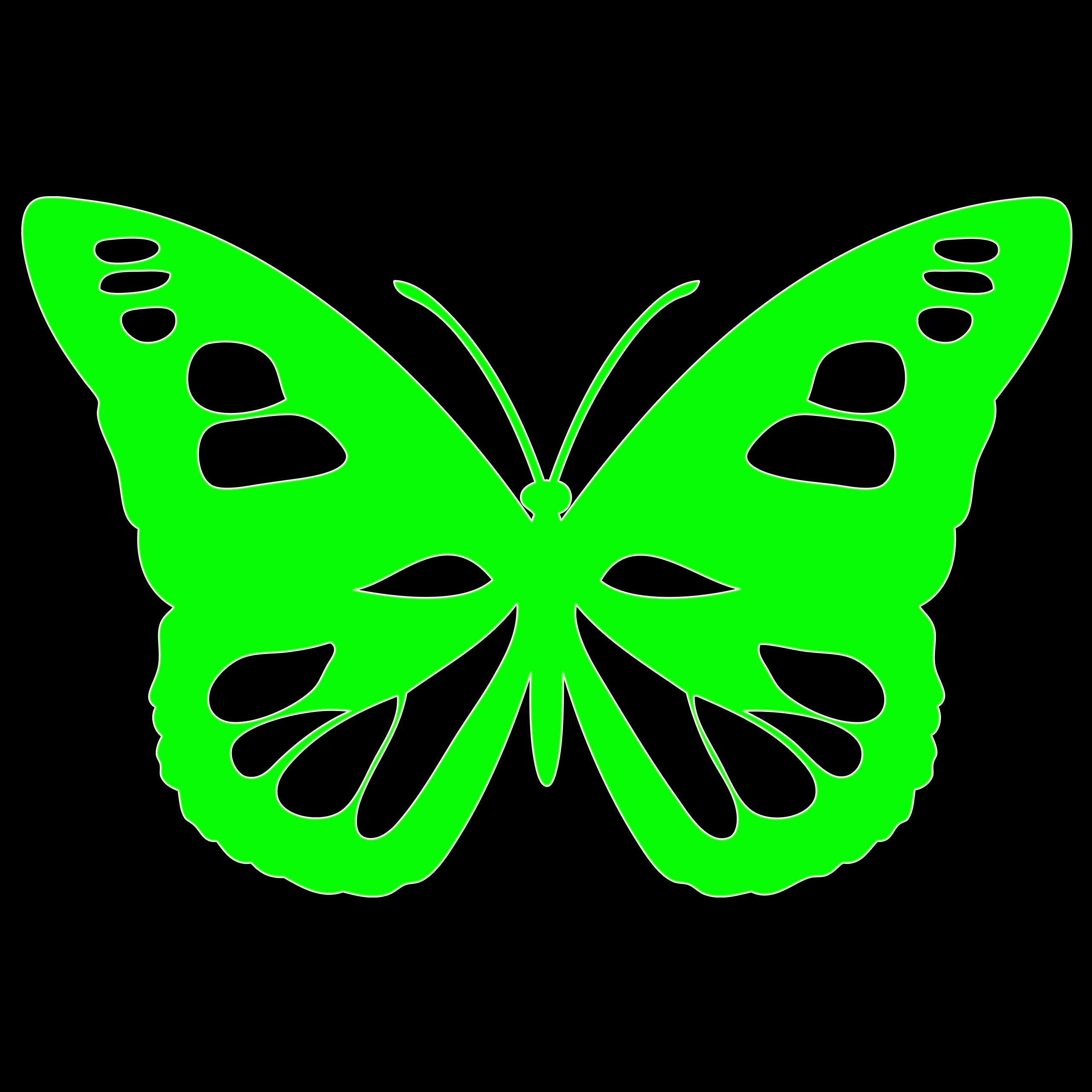 Butterfly Sticker