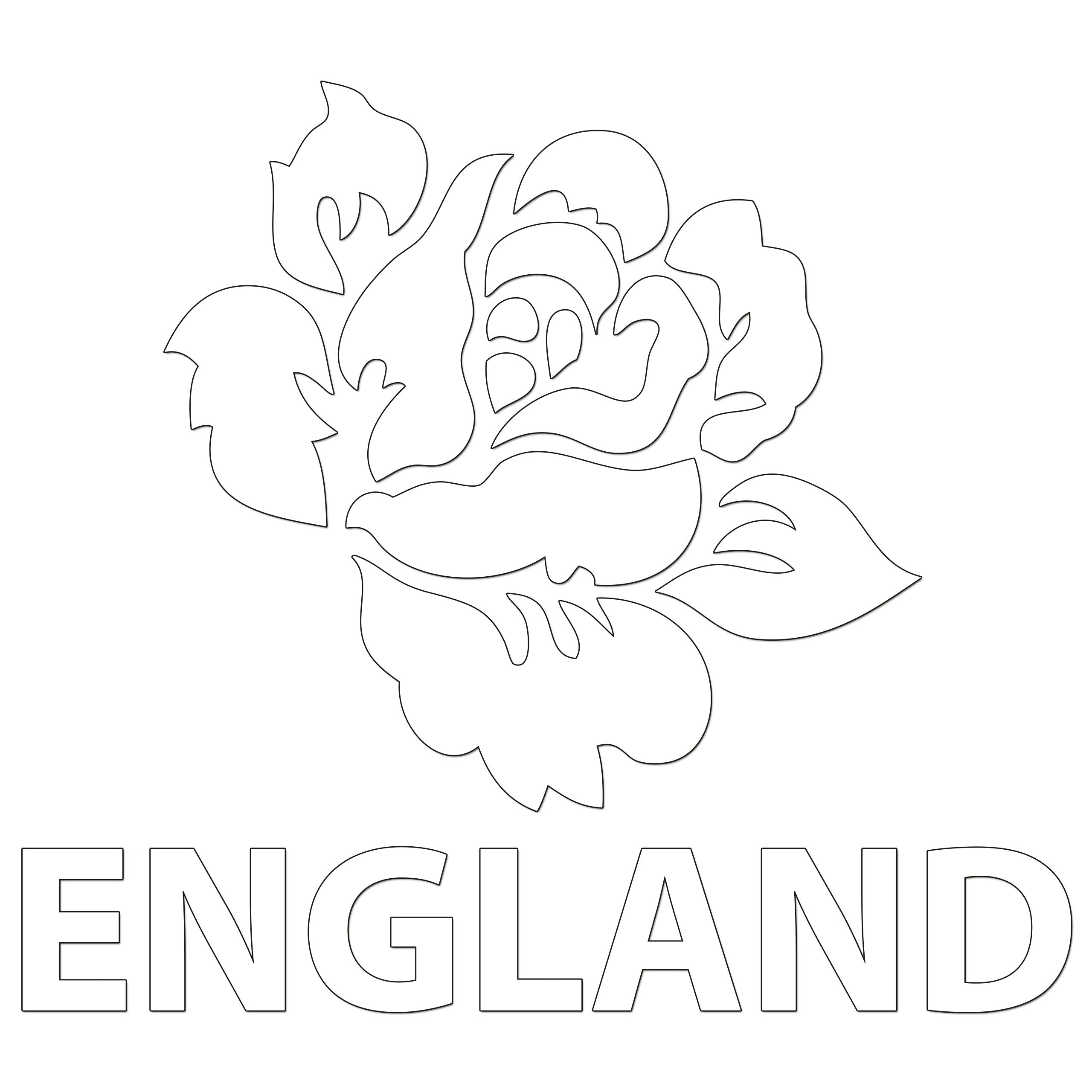 Rose Of England Iron On HTV Transfer