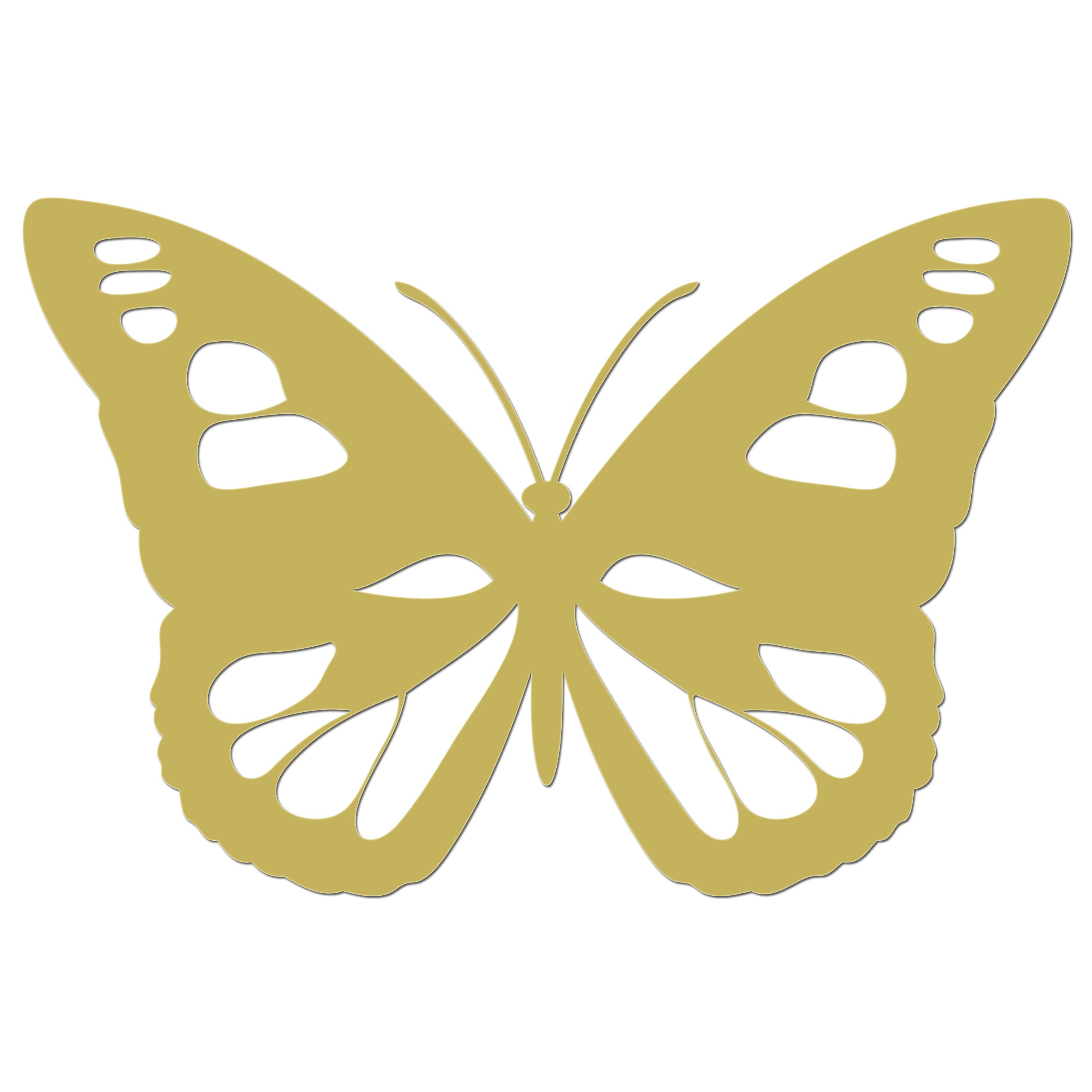 Butterfly Iron On HTV Transfer