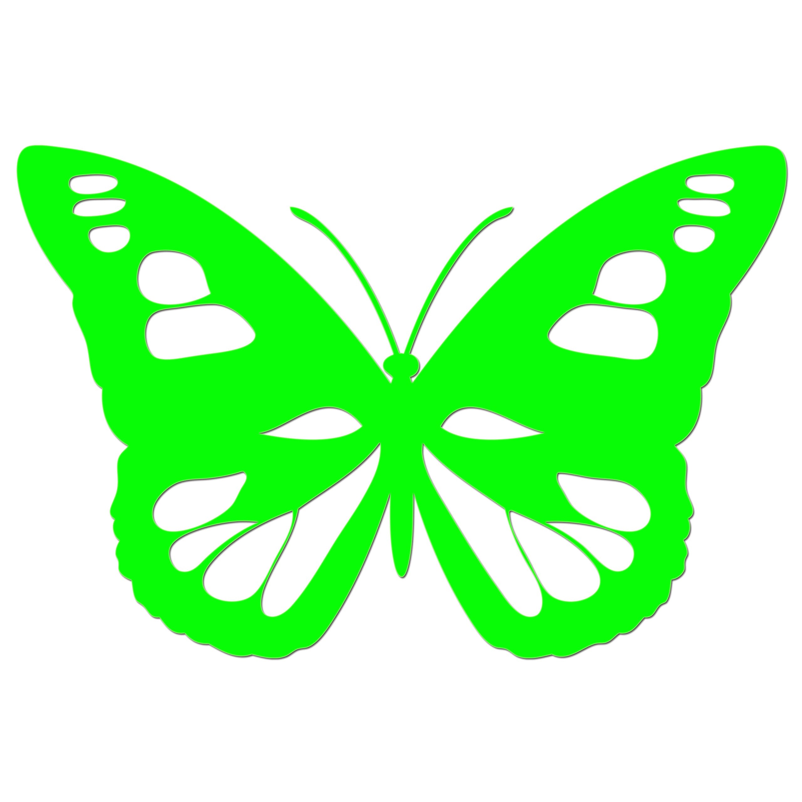 Butterfly Iron On HTV Transfer