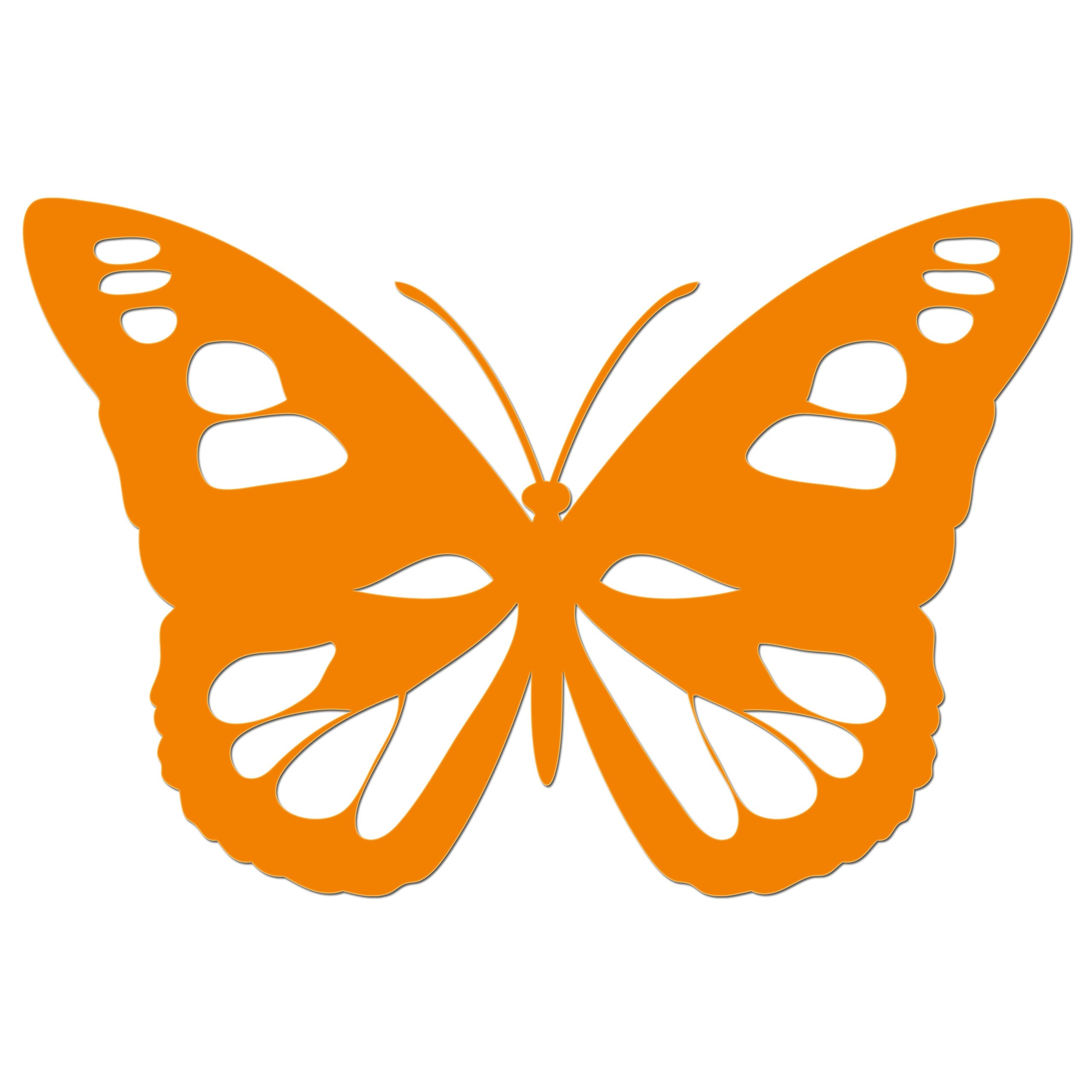 Butterfly Iron On HTV Transfer