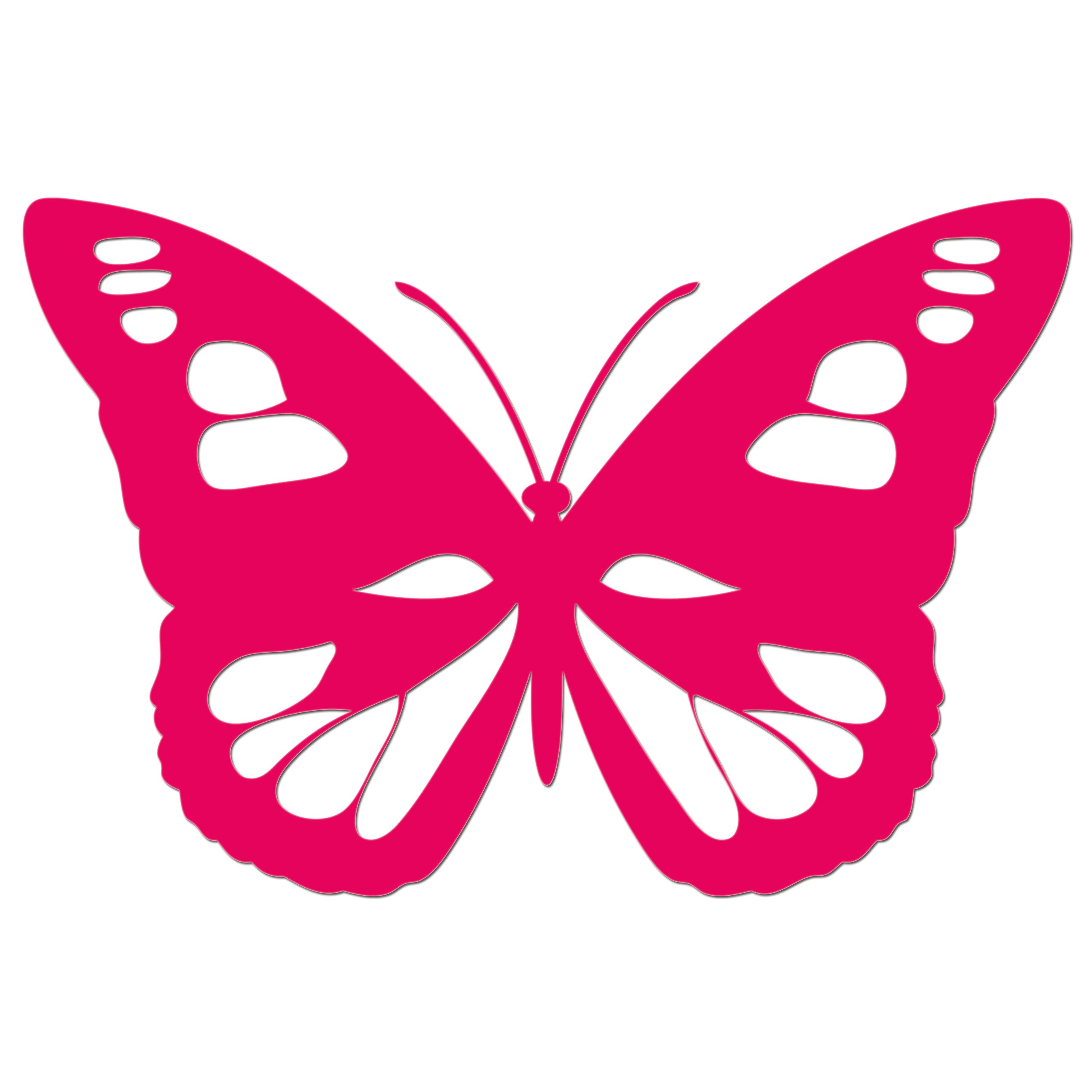 Butterfly Iron On HTV Transfer