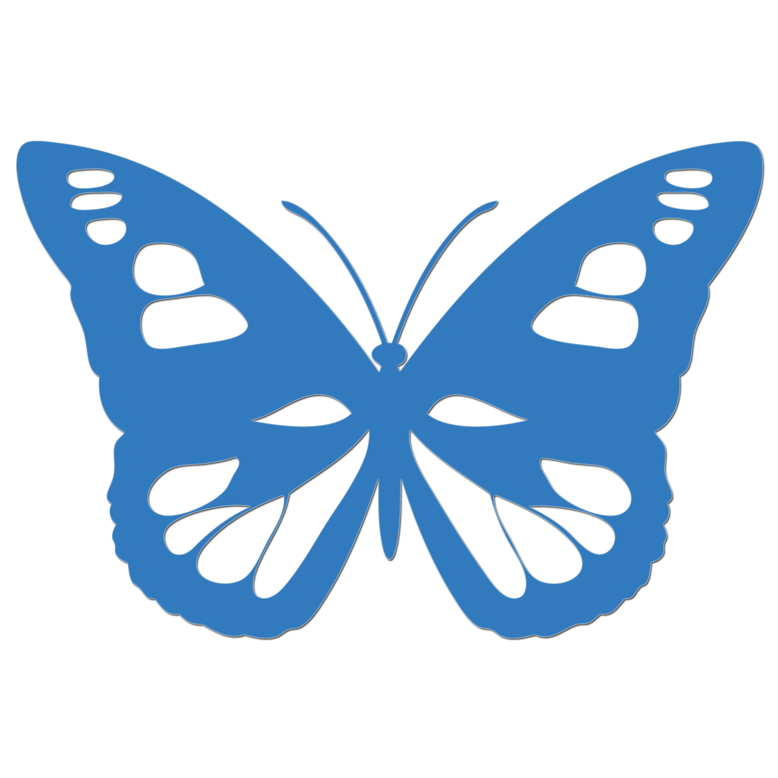 Butterfly Iron On HTV Transfer