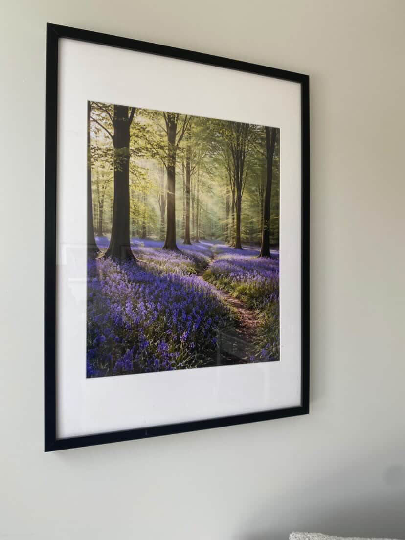 Bluebell Forest Path Wall Art – Enchanted Spring Woodland Landscape Print, Sunlit Nature Photography Decor
